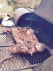 upload_2015-9-20_13-17-48.png