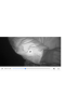 Screenshot_20170828-112220.png