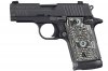sigsauerp938.jpg