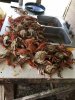 crabs.jpg