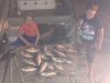 PC crappie 2.jpg