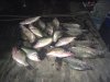 PC crappie 1.jpg