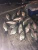 PC crappie 3.jpg