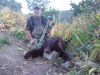 dads bear 1.jpg