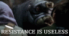 giphy-26.gif