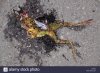 8B0E1B66-2EEA-404D-A1DF-C8D7BBE1A68F.jpeg